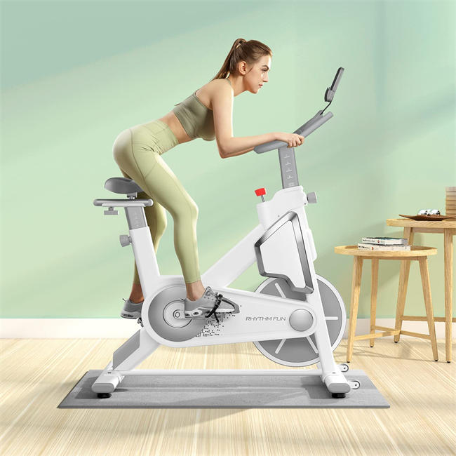 Exercise Bike Stationary Bike Indoor Cycling Bike with Comfortable Seat Cushion,Heavy Flywheel,Large Tablet Holder,LCD Monitor,Multi-grips Handlebar Magnetic Silent Belt Drive Cycle Bike for Home Workout