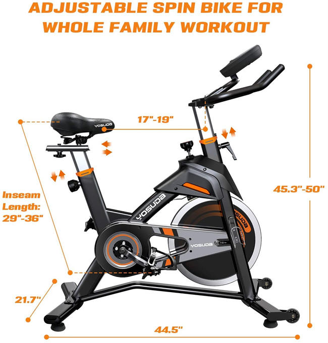 Indoor Cycling Bike Stationary - Exercise Bike for Home Gym with Comfortable Seat Cushion, Silent Belt Drive, iPad Holder